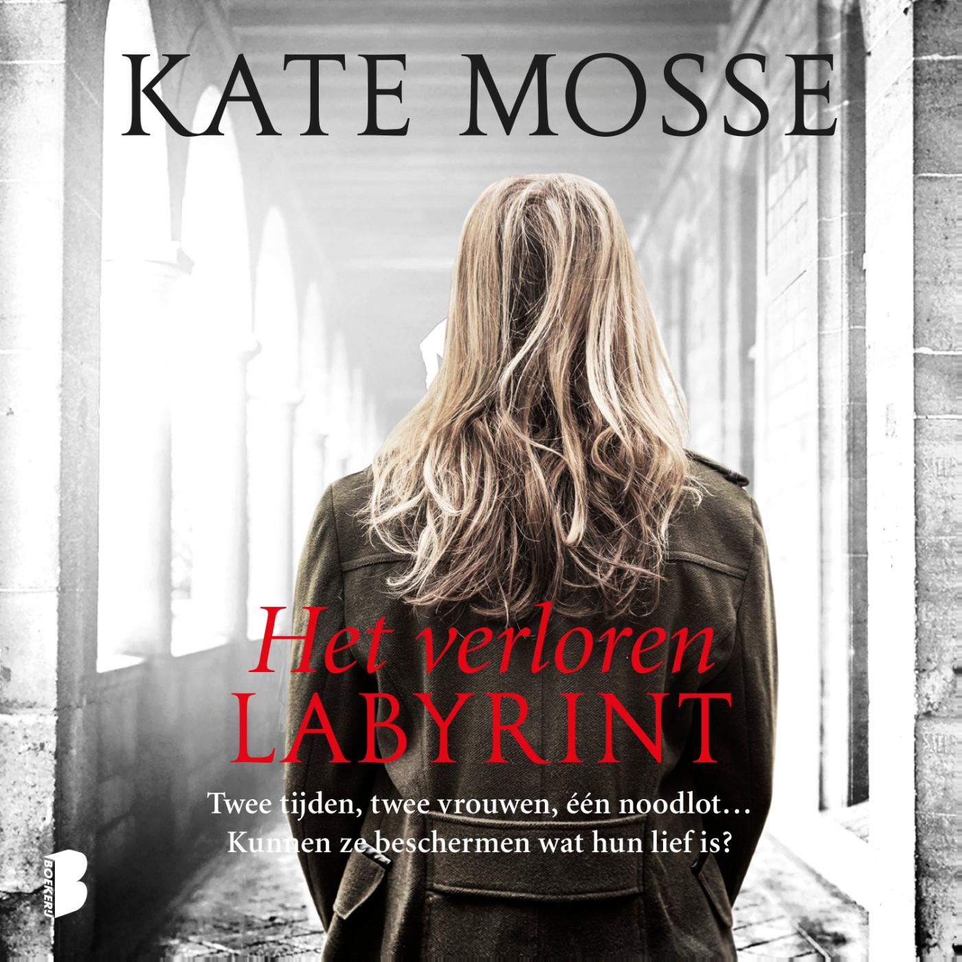Omslag van Het verloren labyrint
