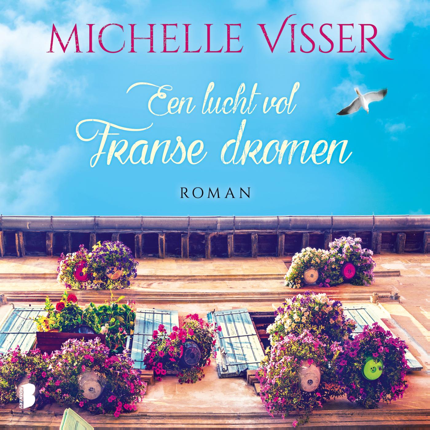 Omslag van Een lucht vol Franse dromen