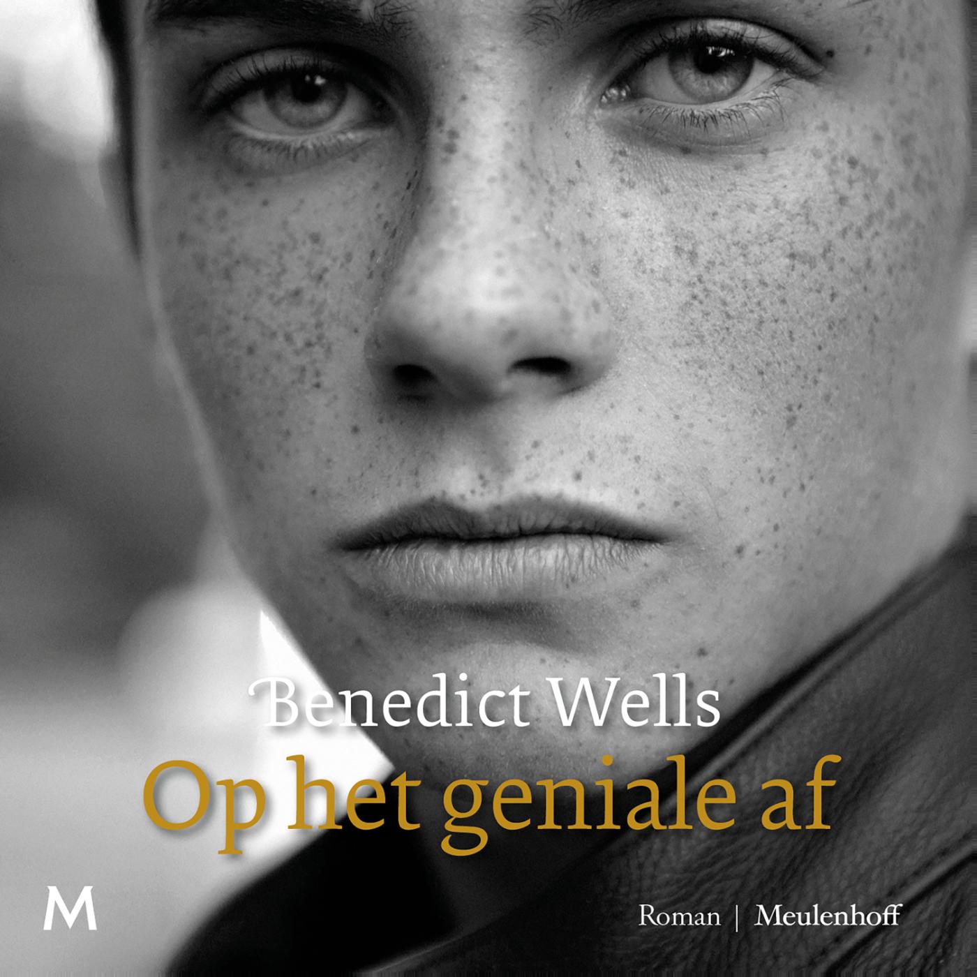 Omslag van Op het geniale af