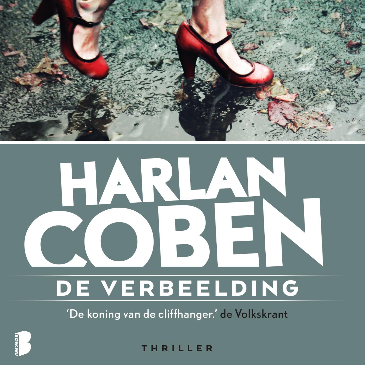 Omslag van De verbeelding
