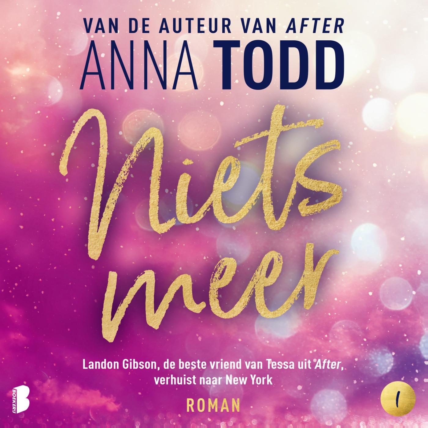 Omslag van Niets meer