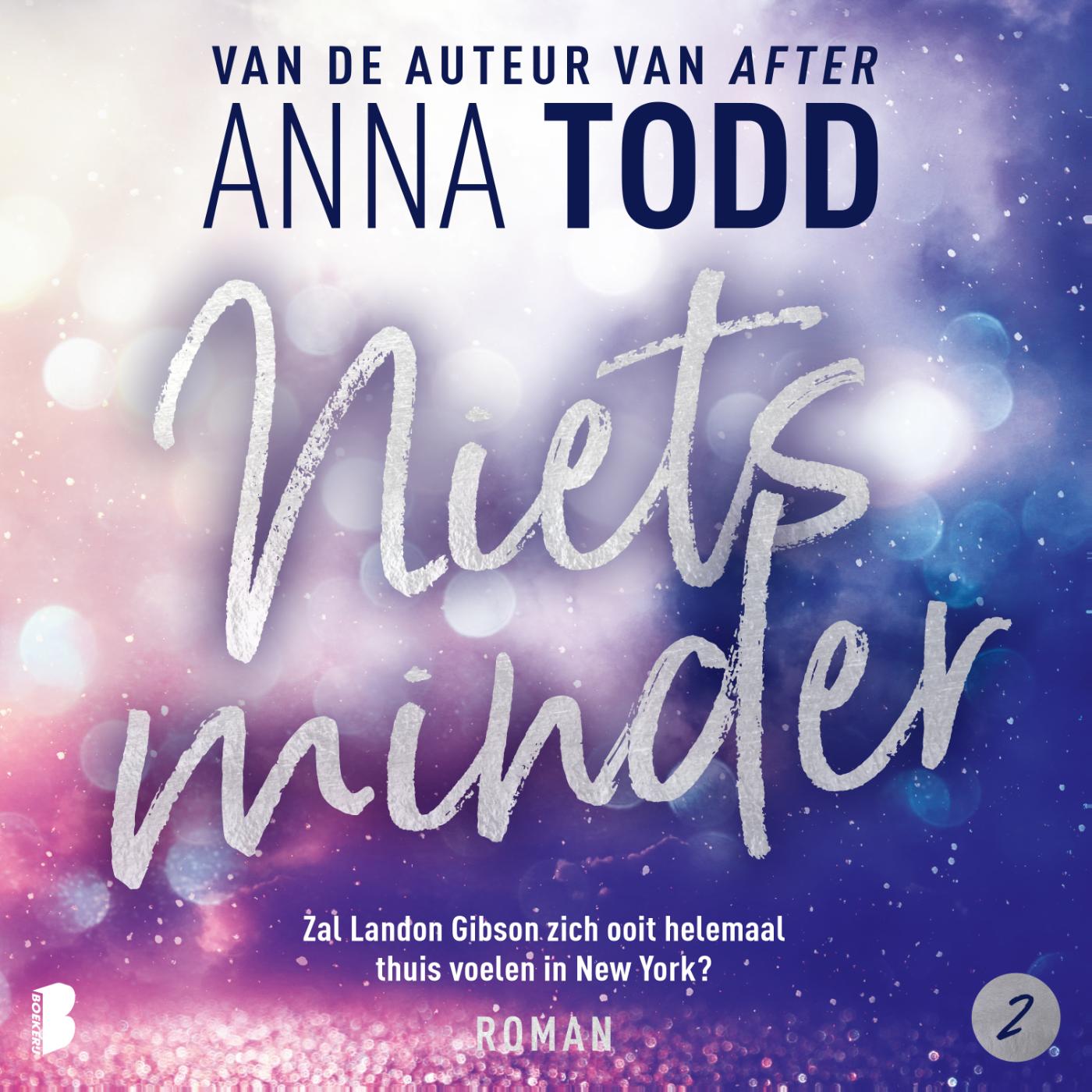 Omslag van Niets minder