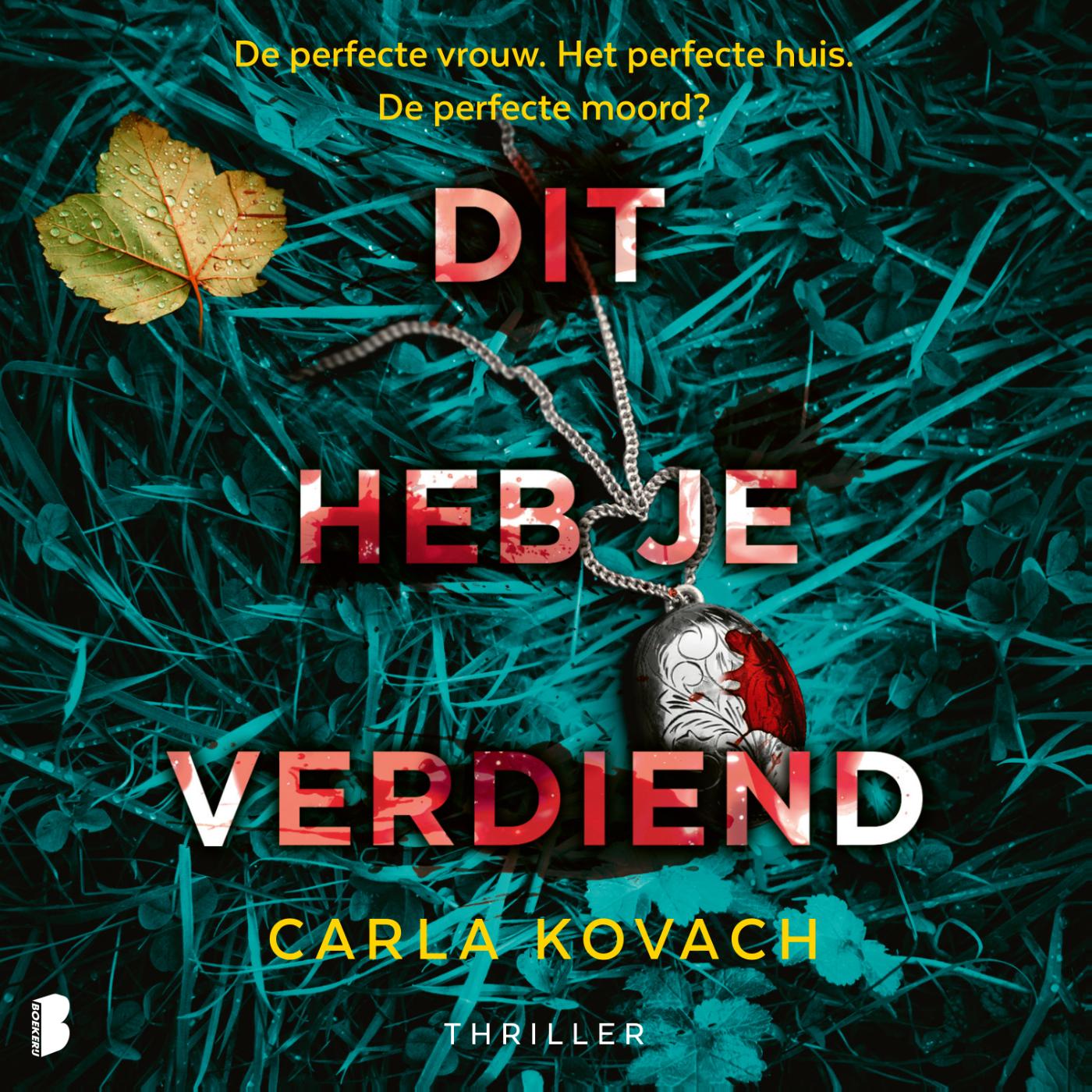 Omslag van Dit heb je verdiend