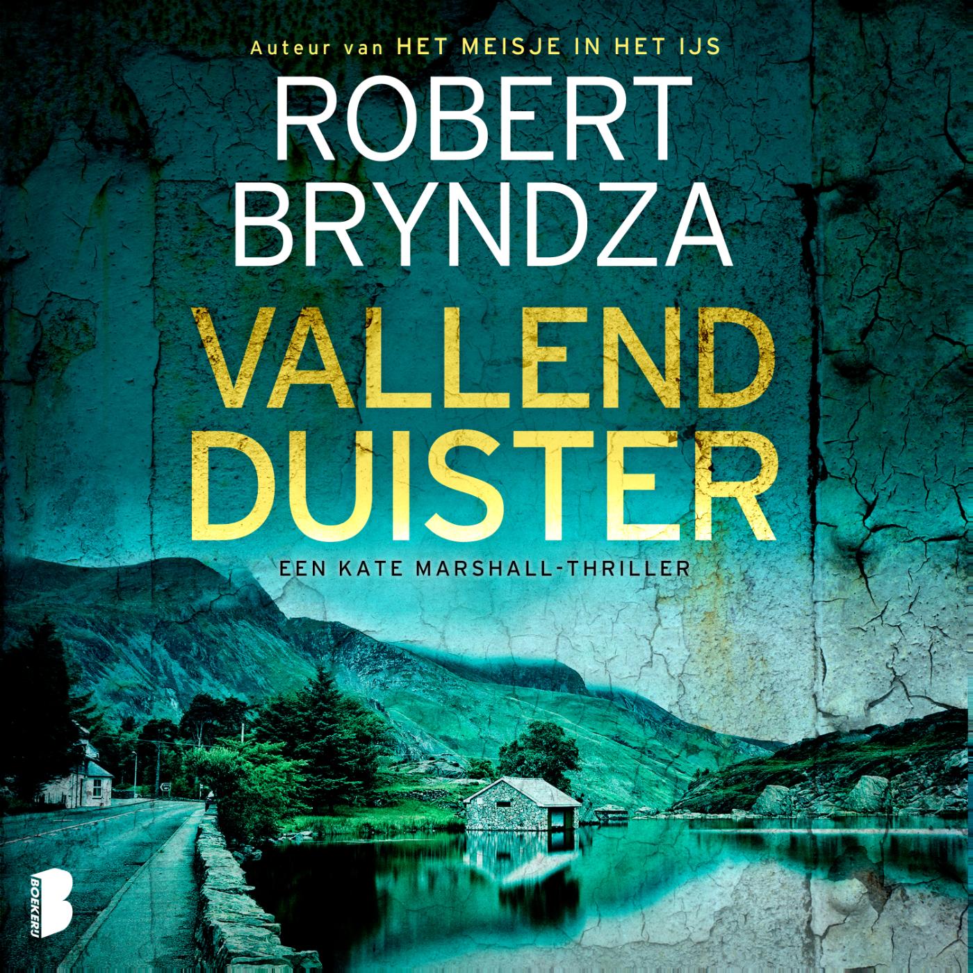 Omslag van Vallend duister