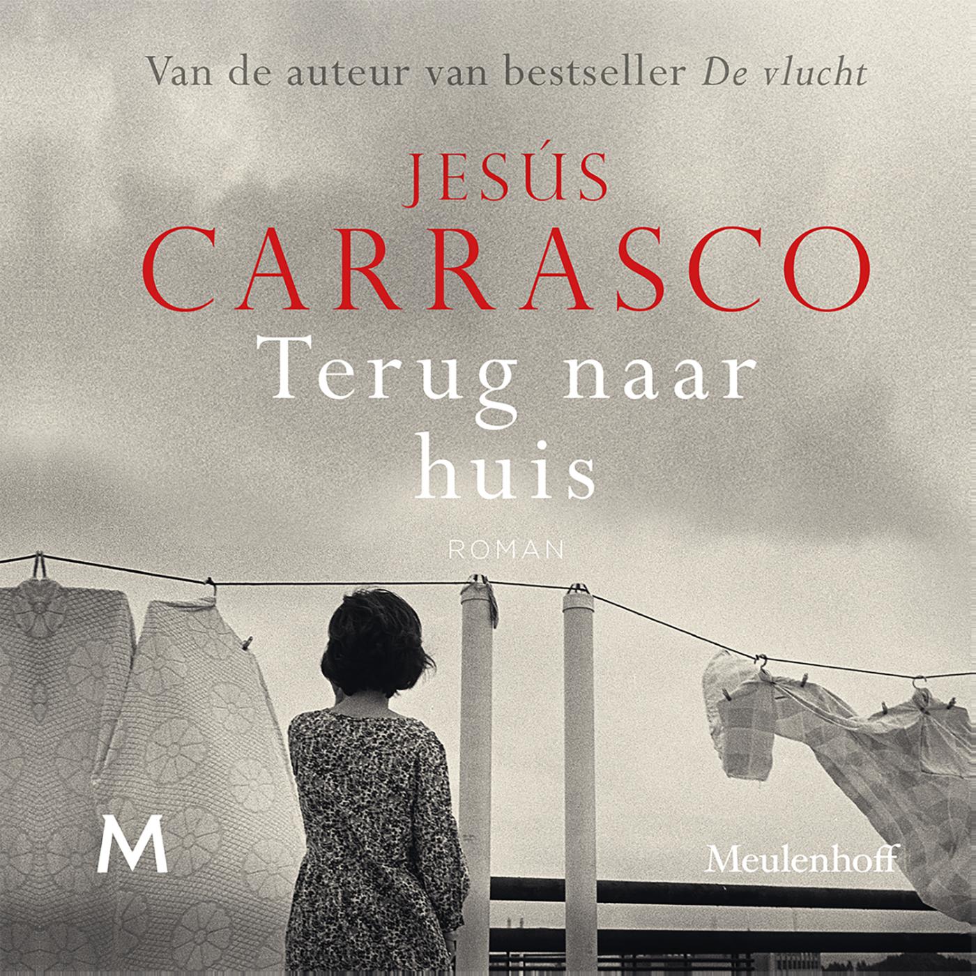 Omslag van Terug naar huis