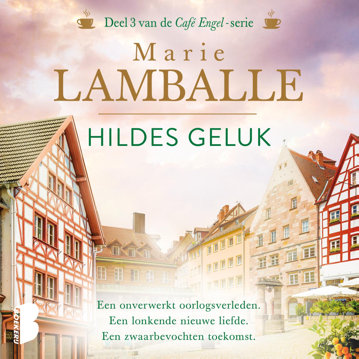 Omslag van Hildes geluk