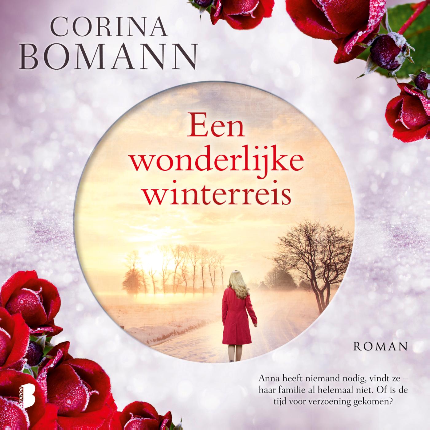 Omslag van Een wonderlijke winterreis