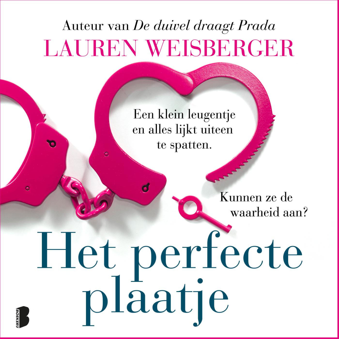 Omslag van Het perfecte plaatje