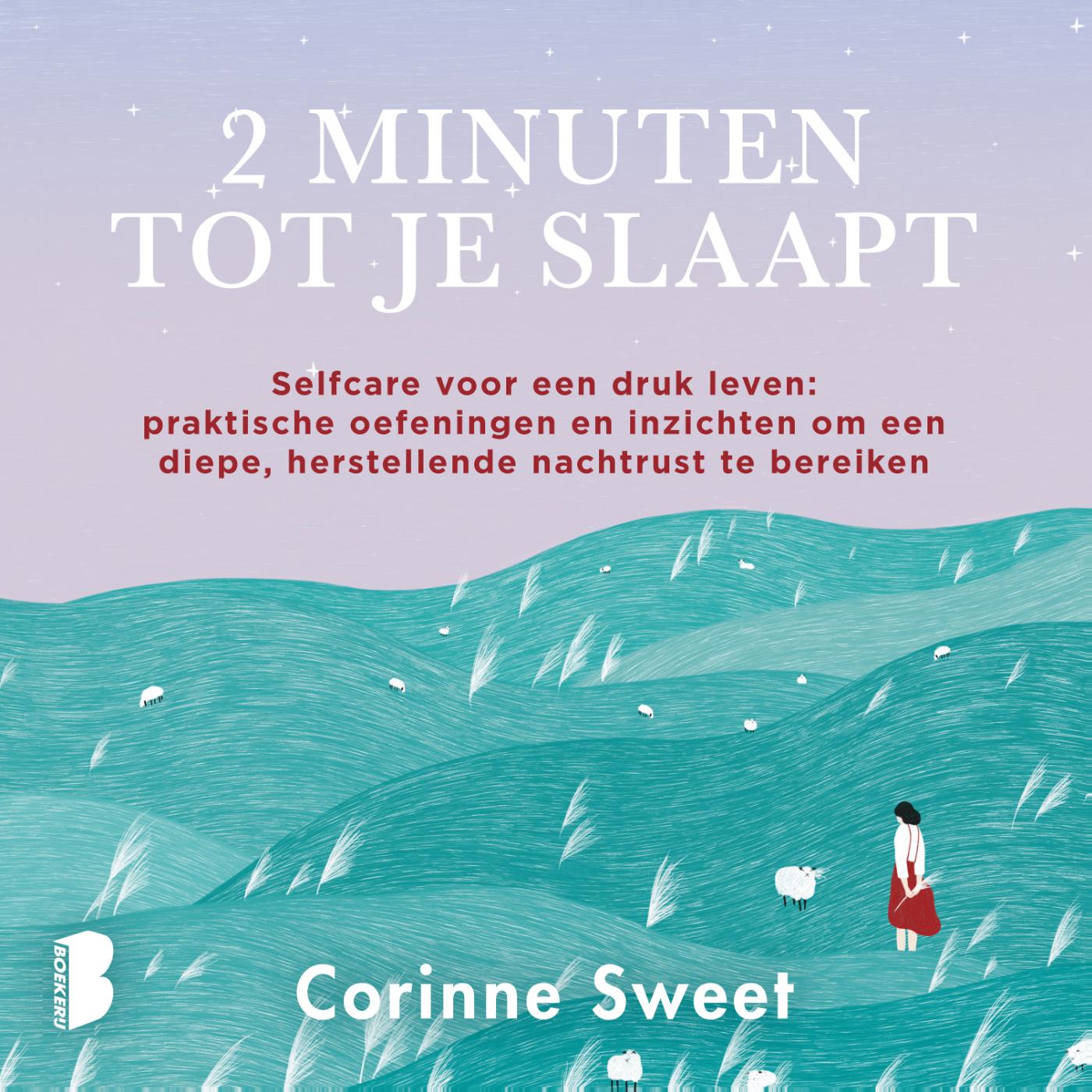 Omslag van 2 minuten tot je slaapt