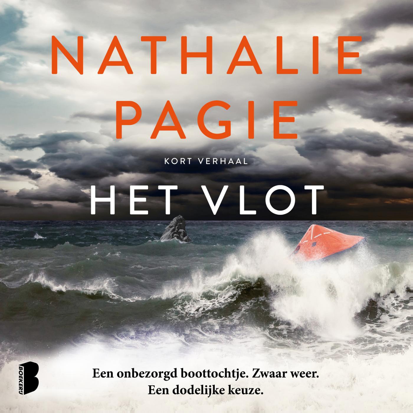 Omslag van Het vlot