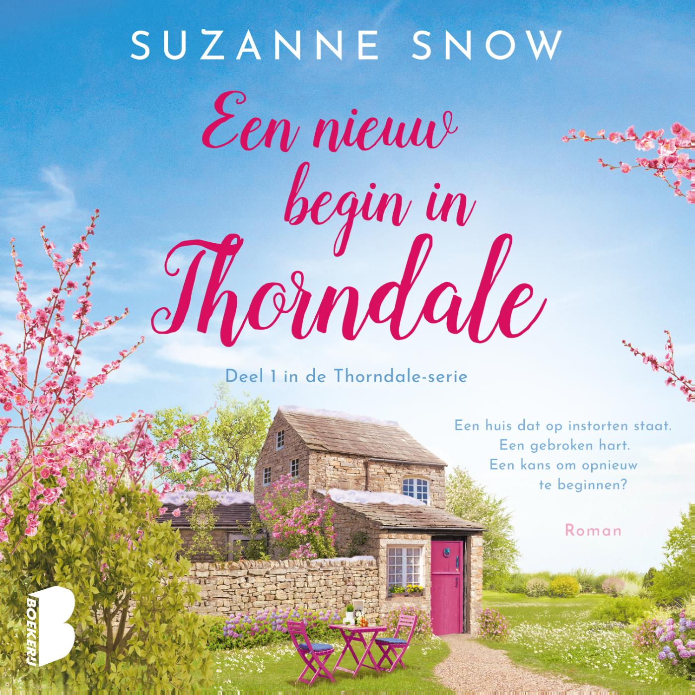 Omslag van Een nieuw begin in Thorndale