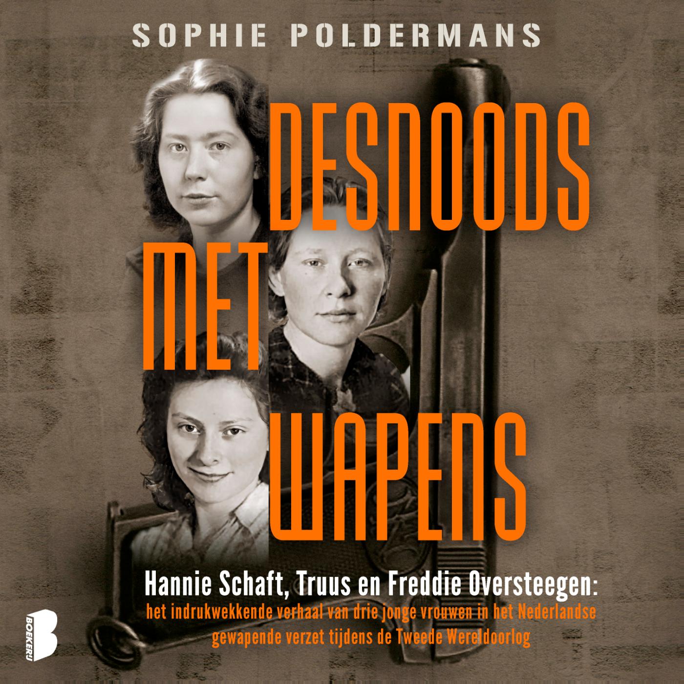 Omslag van Desnoods met wapens