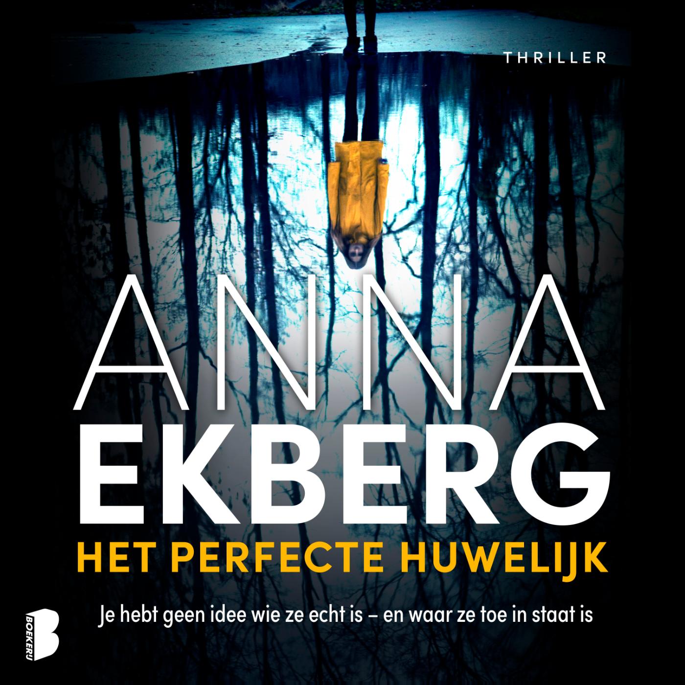 Omslag van Het perfecte huwelijk