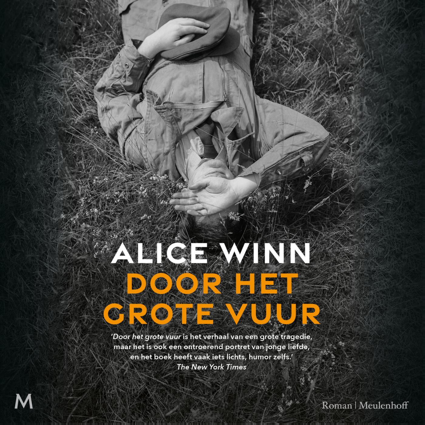 Omslag van Door het grote vuur