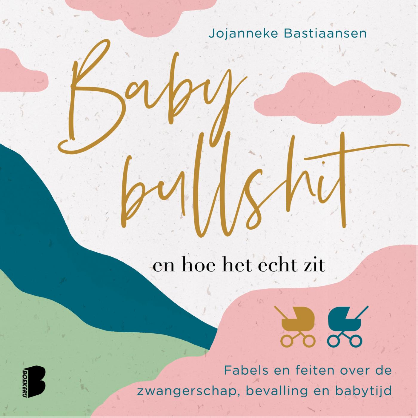 Omslag van Babybullshit en hoe het echt zit
