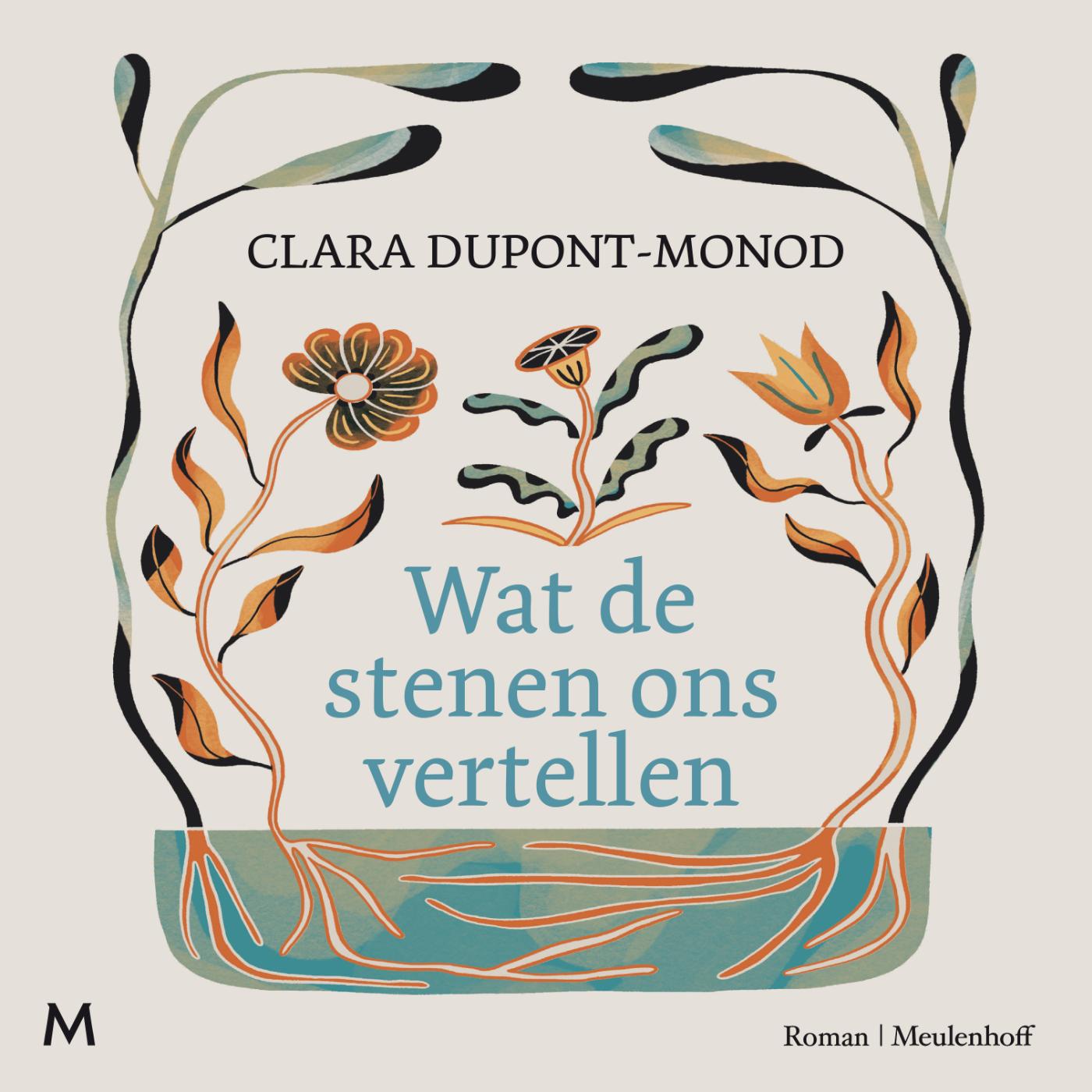 Omslag van Wat de stenen ons vertellen