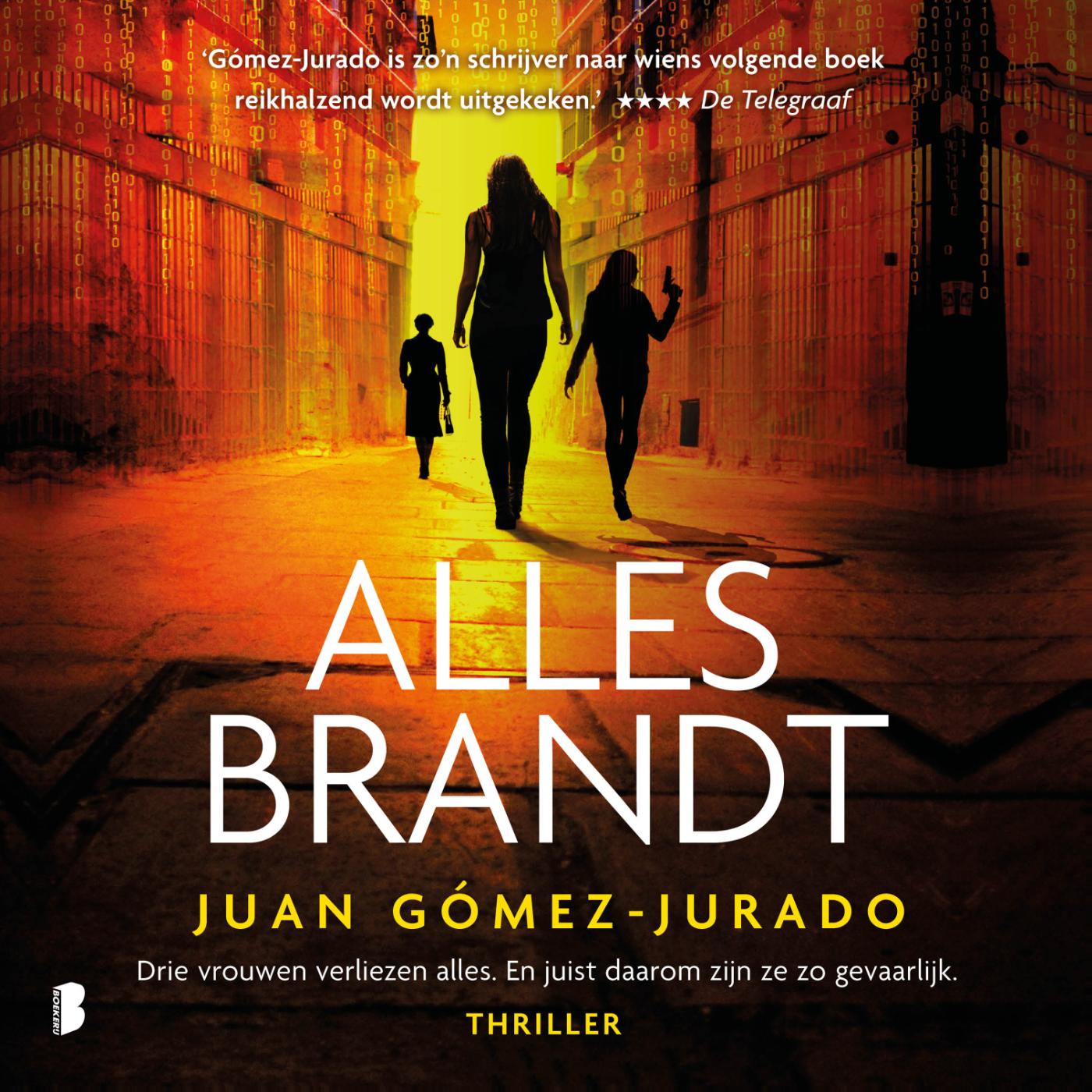 Omslag van Alles brandt