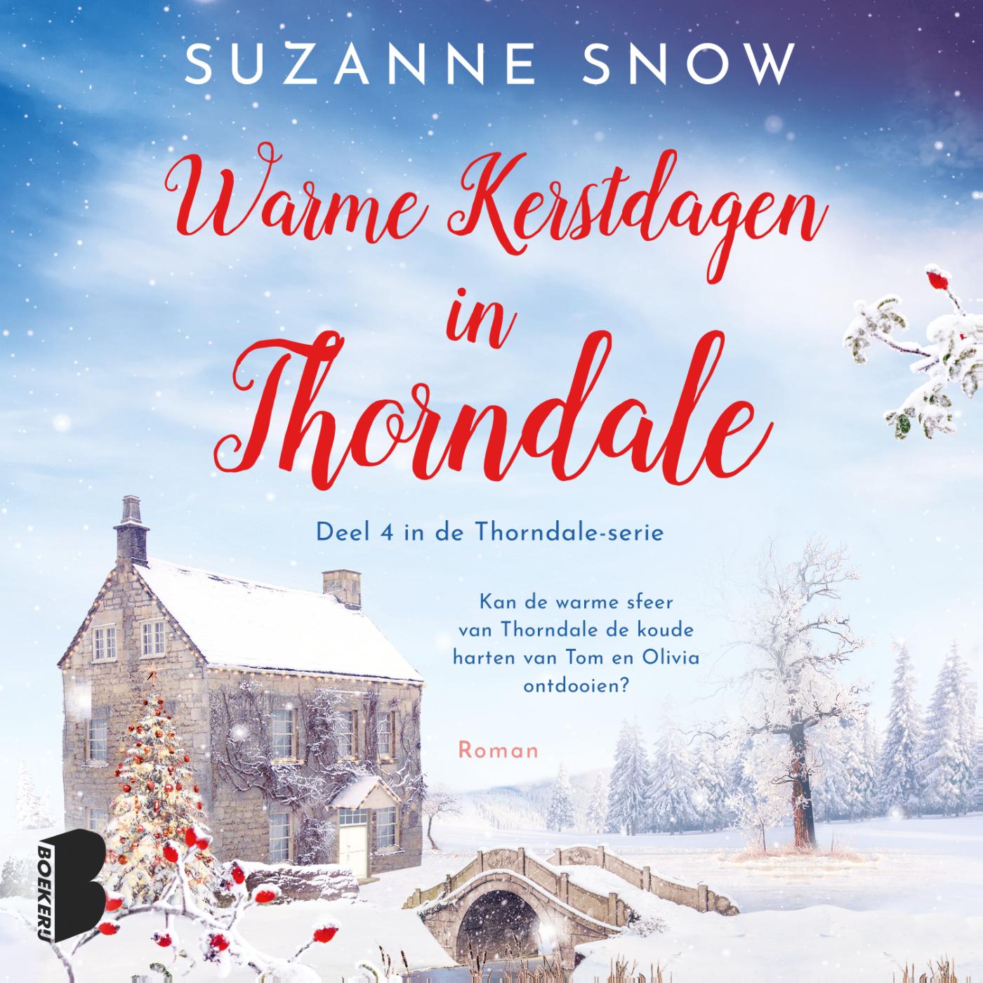 Omslag van Warme kerstdagen in Thorndale