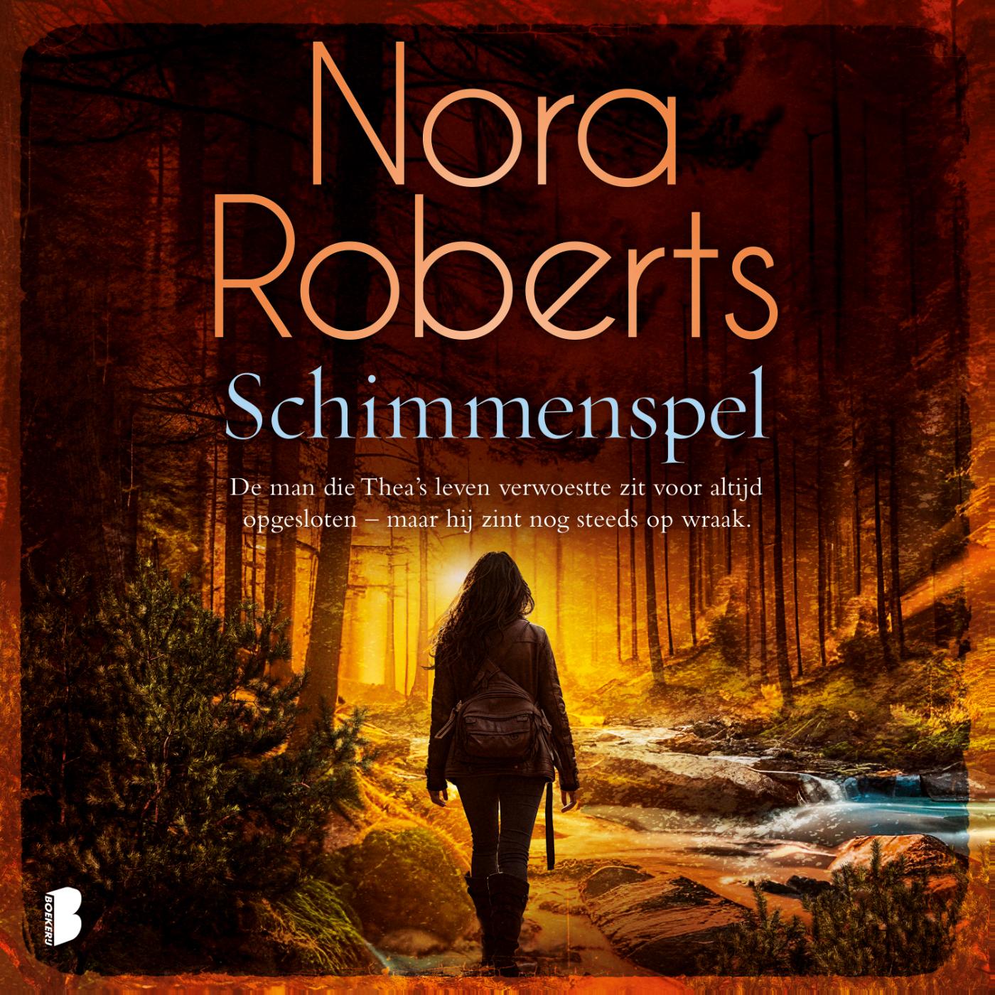 Omslag van Schimmenspel