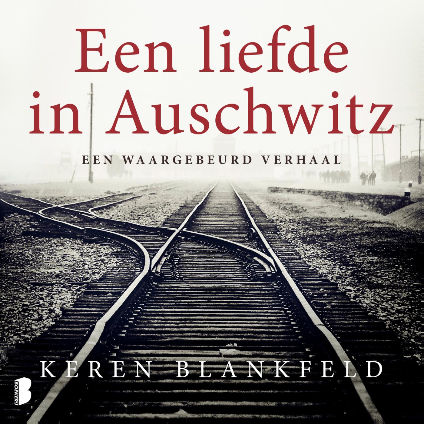 Omslag van Een liefde in Auschwitz