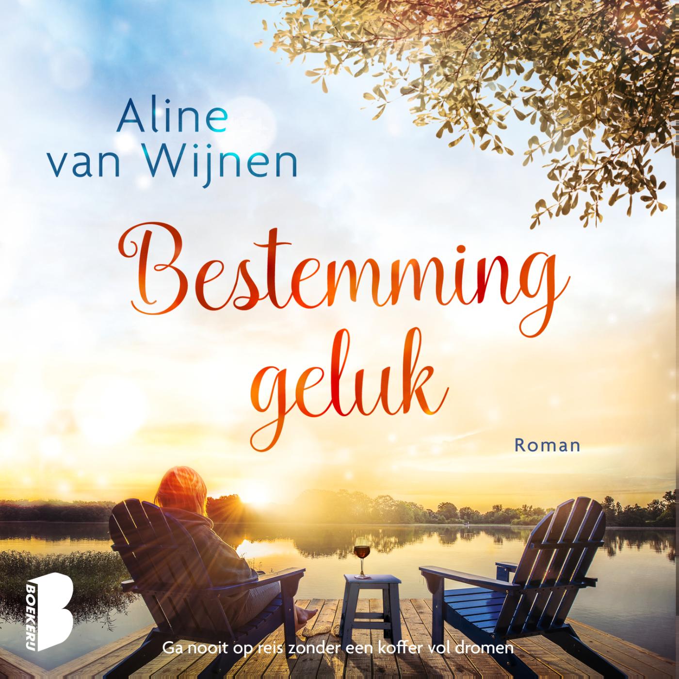 Omslag van Bestemming geluk
