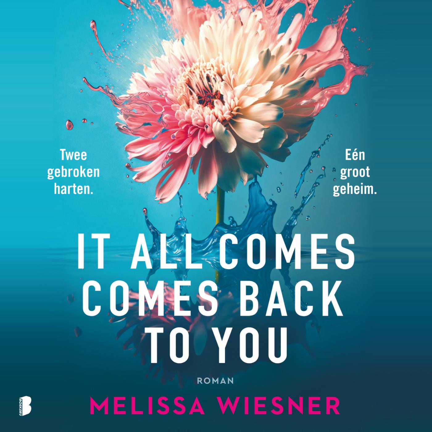 Omslag van It All Comes Back To You