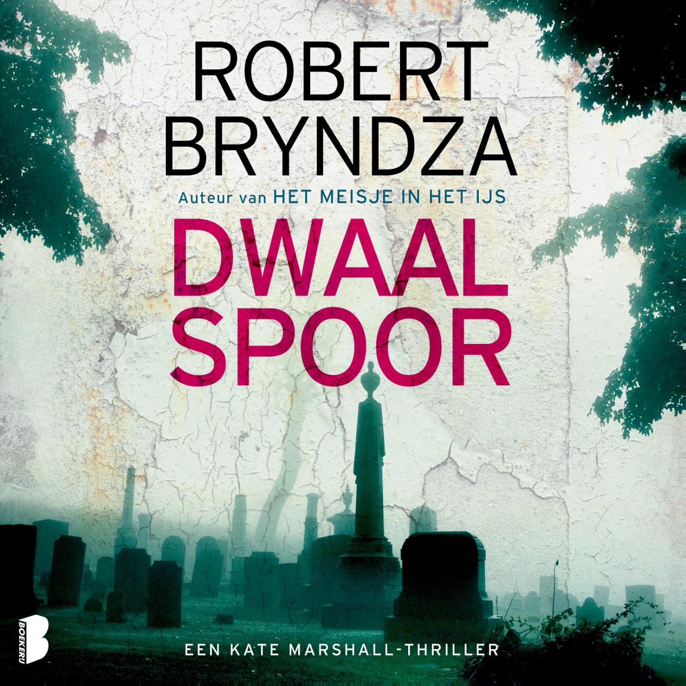 Omslag van Dwaalspoor