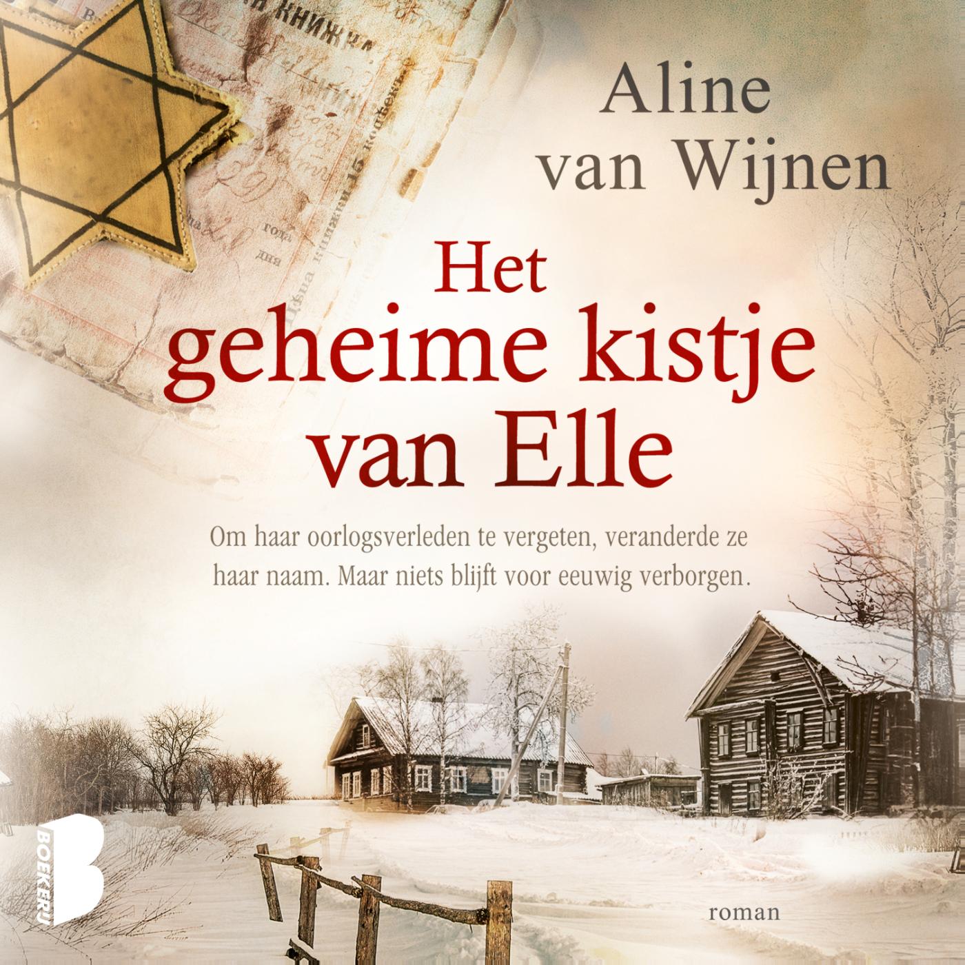 Omslag van Het geheime kistje van Elle