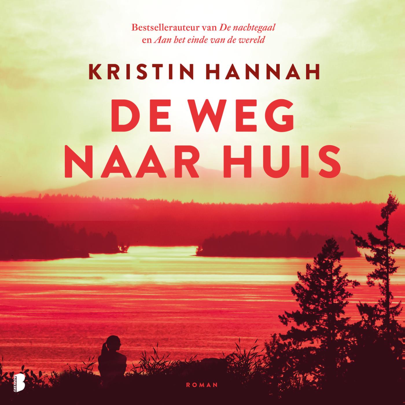 Omslag van De weg naar huis