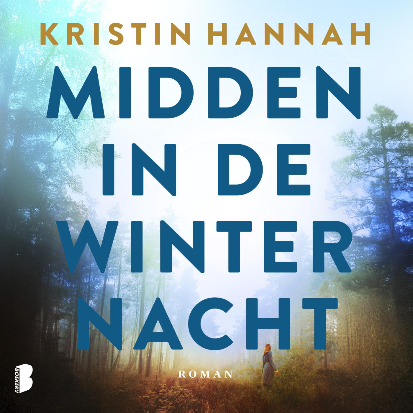 Omslag van Midden in de winternacht