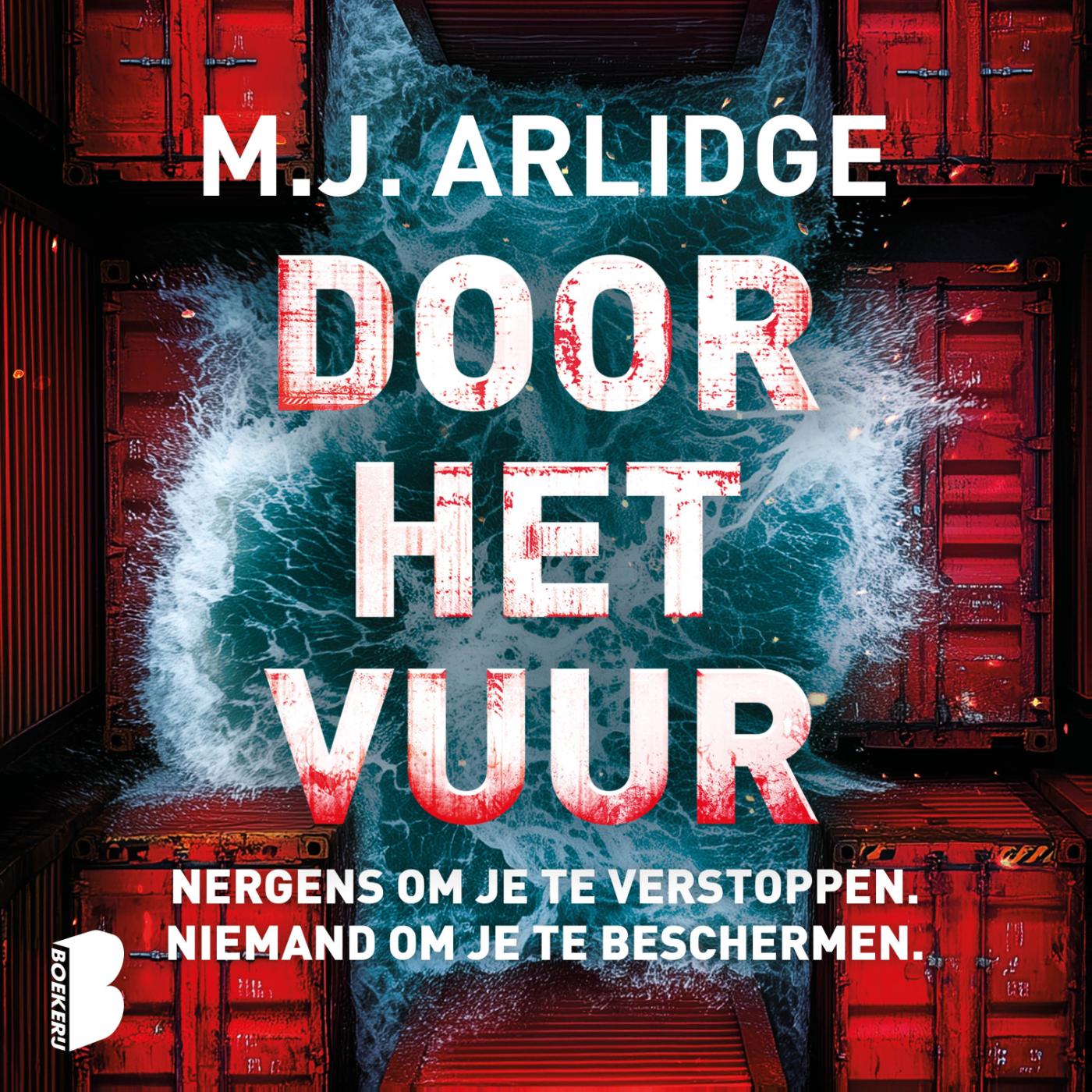 Omslag van Door het vuur