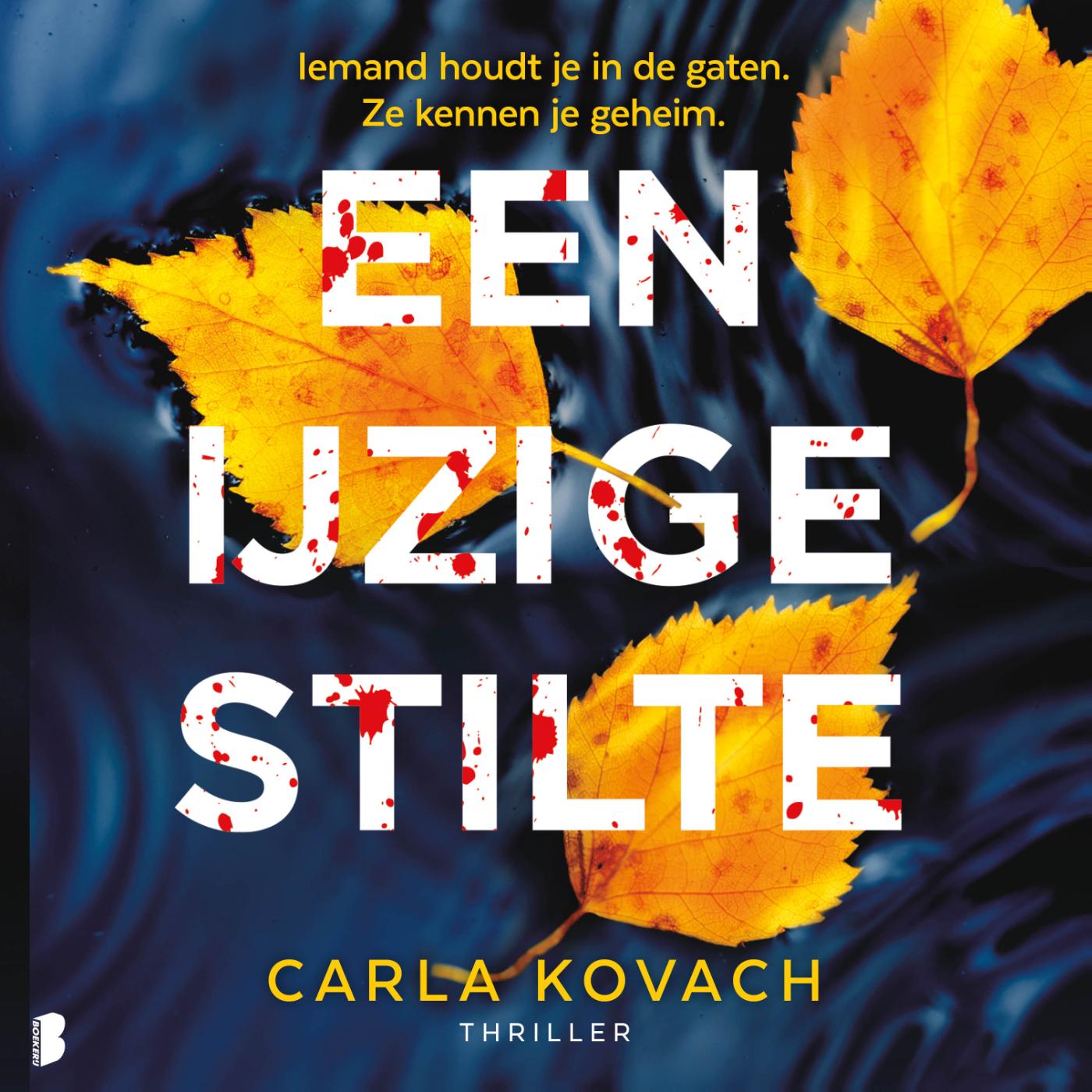 Omslag van Een ijzige stilte