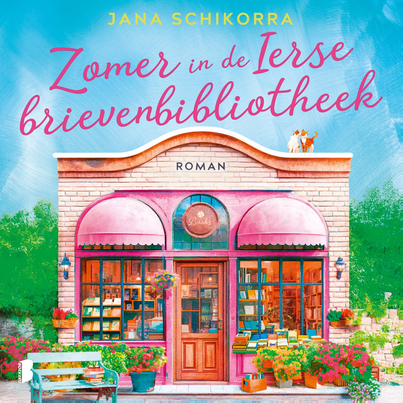 Omslag van Zomer in de Ierse brievenbibliotheek