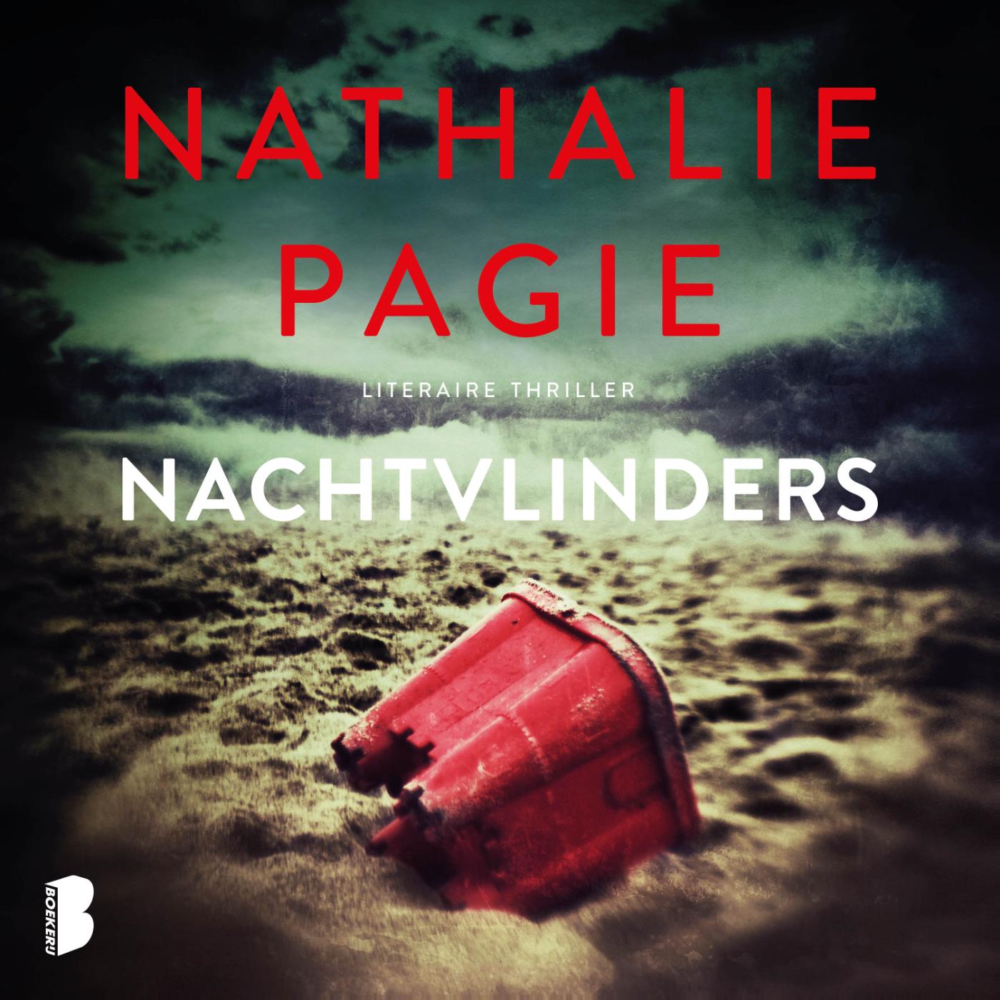 Omslag van Nachtvlinders