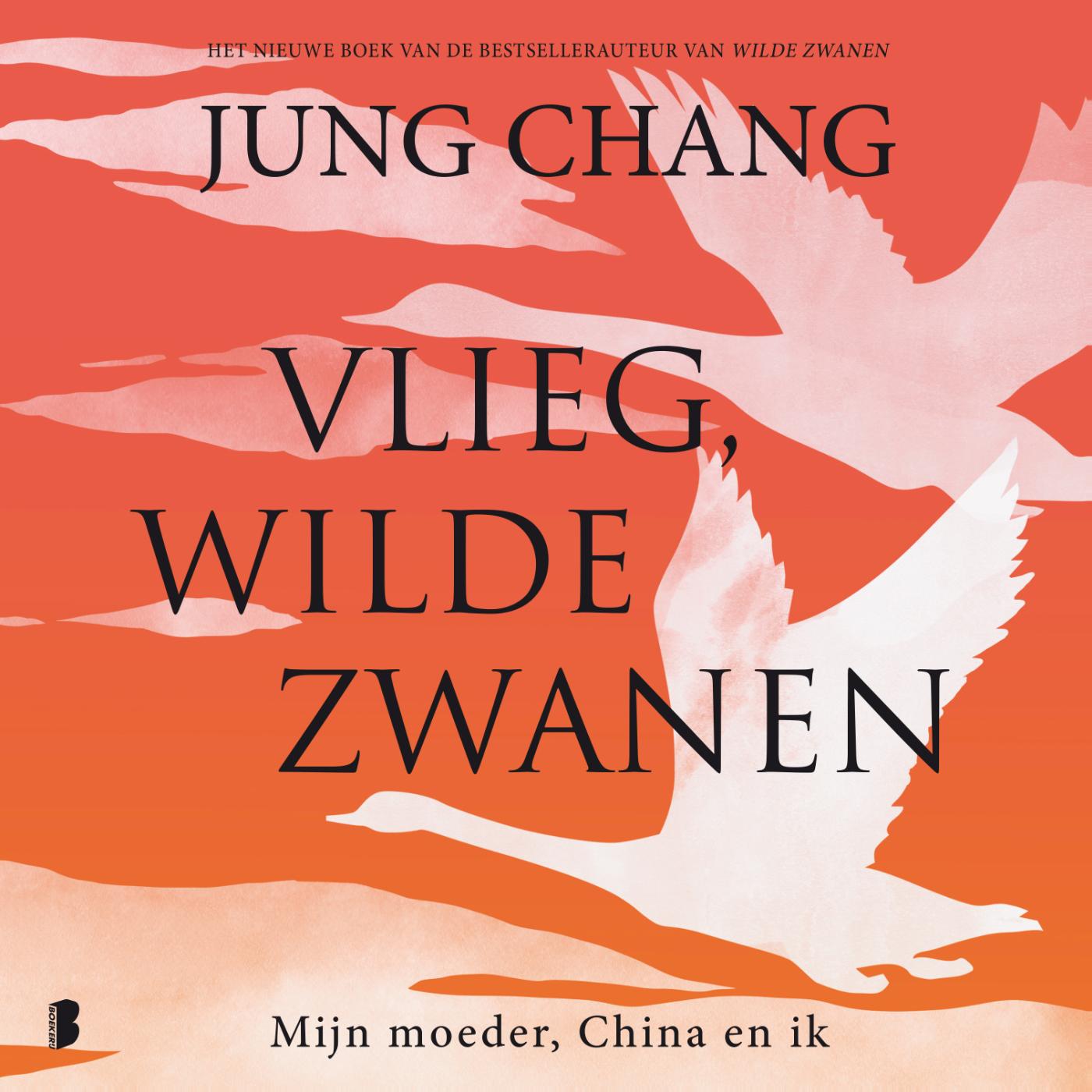 Omslag van Vlieg, wilde zwanen