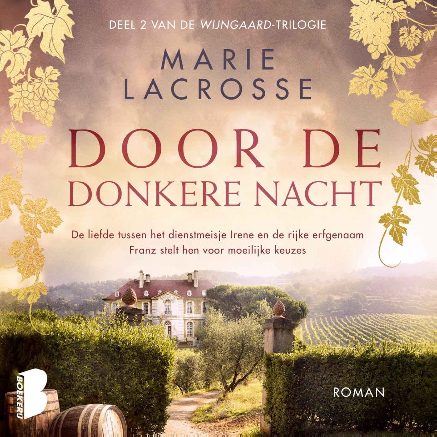 Omslag van Door de donkere nacht