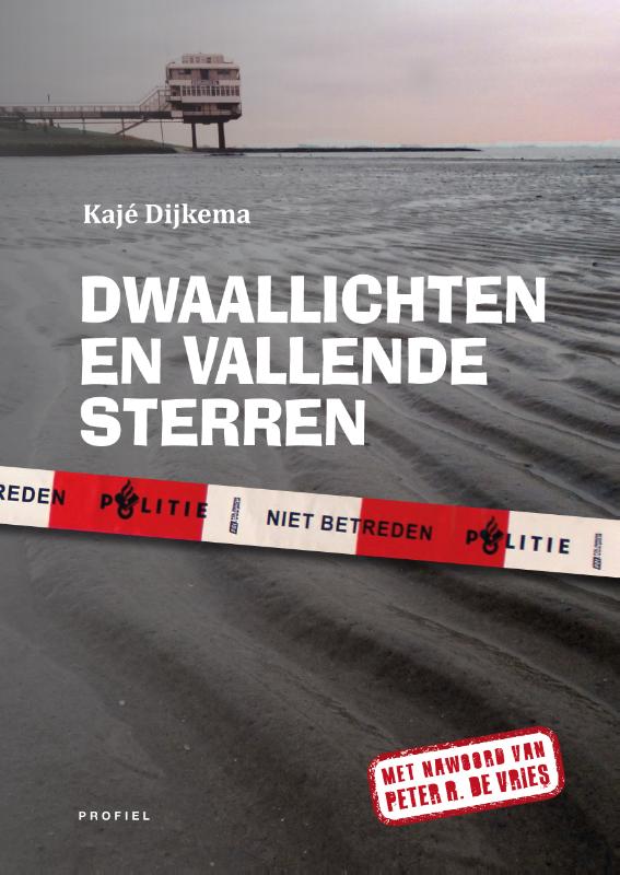 Omslag van Dwaallichten en vallende sterren