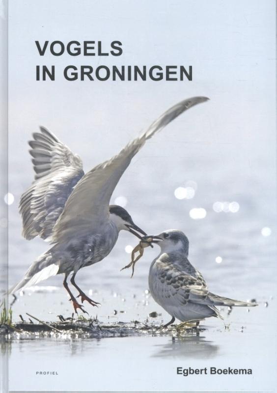 Omslag van Vogels in Groningen