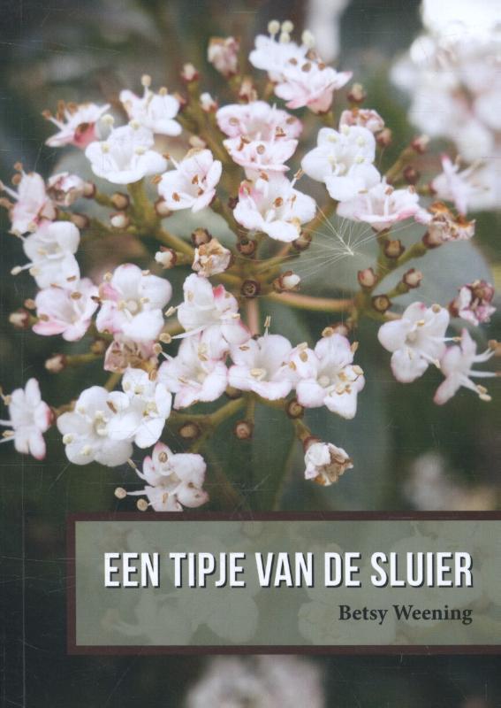 Omslag van Een tipje van de sluier