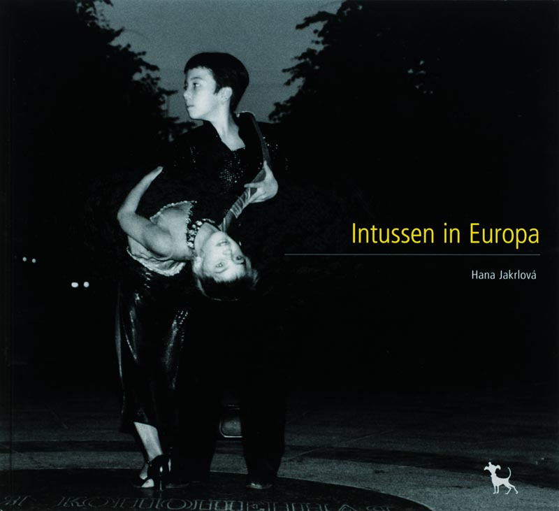 Omslag van Intussen in Europa