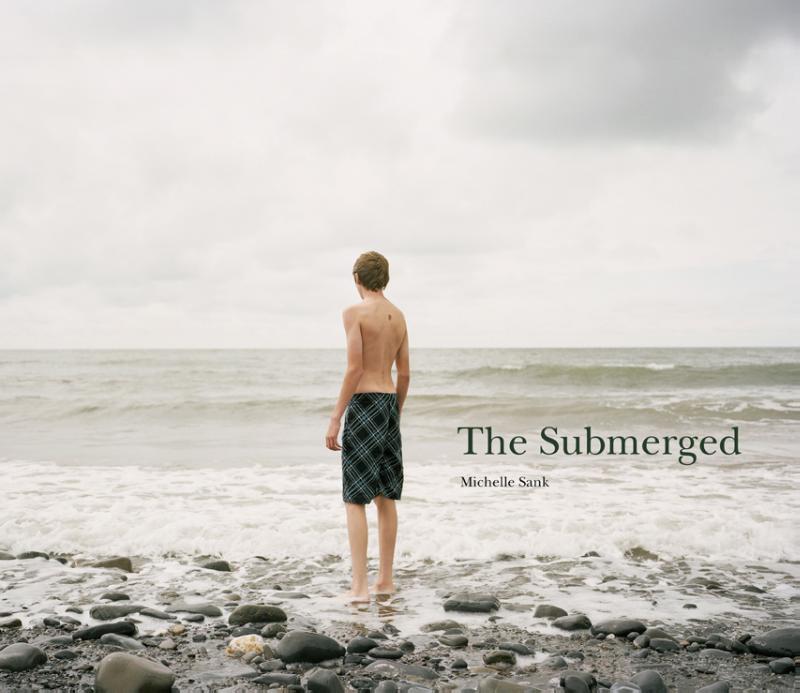 Omslag van The submerged