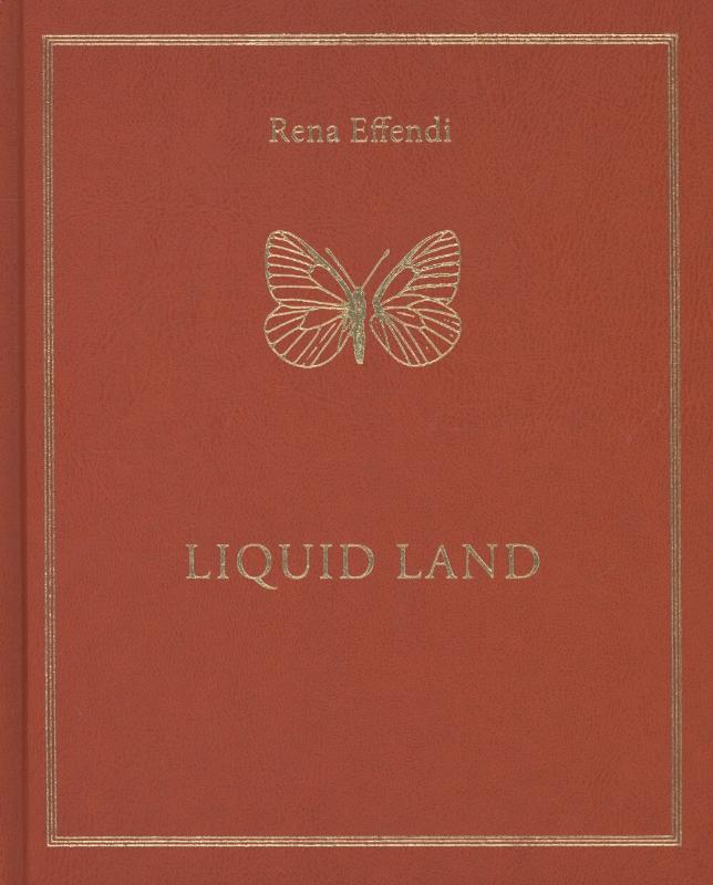Omslag van Liquid land