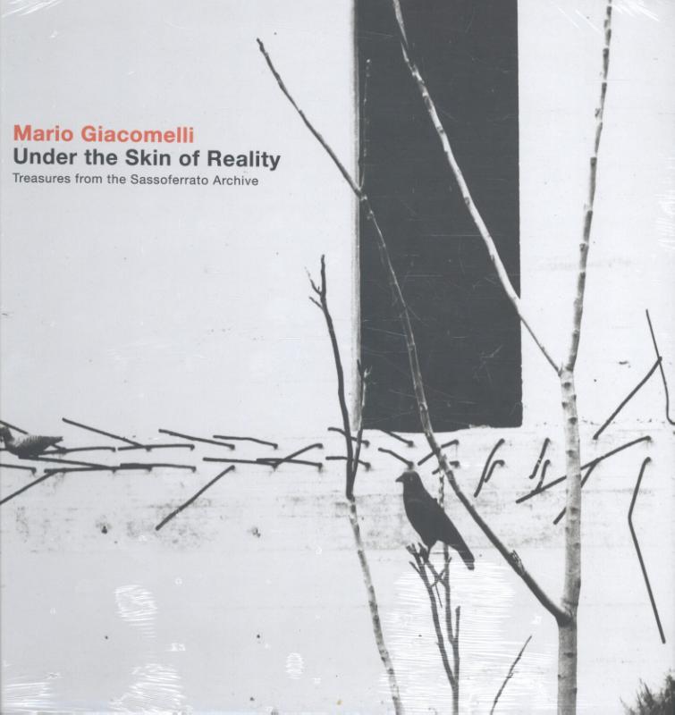 Omslag van Under the skin of reality