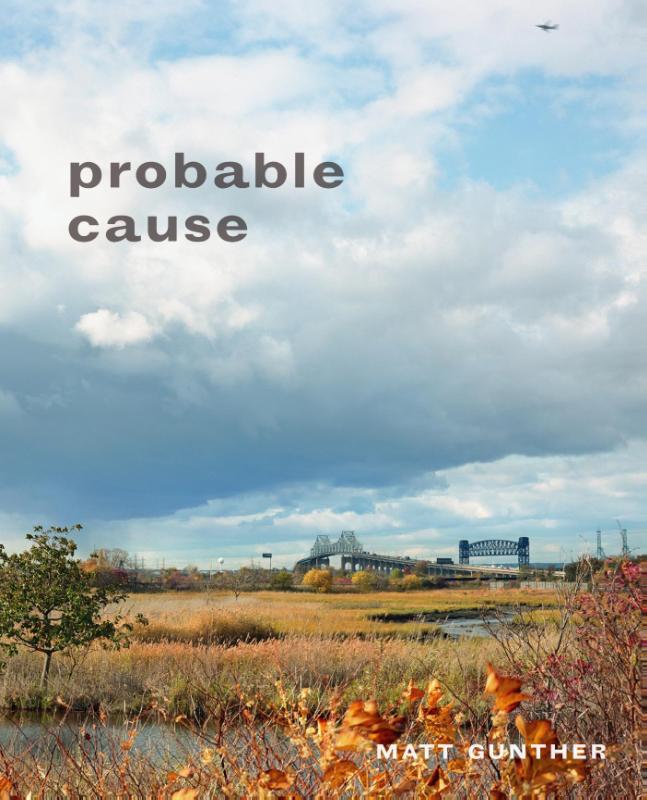 Omslag van Probable cause