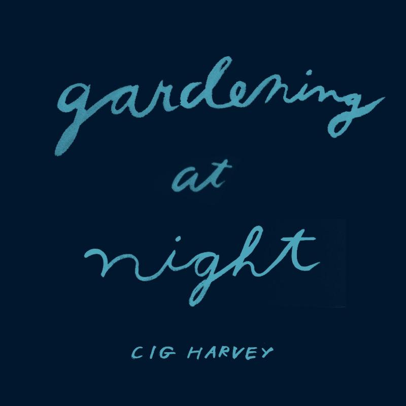 Omslag van Gardening at night