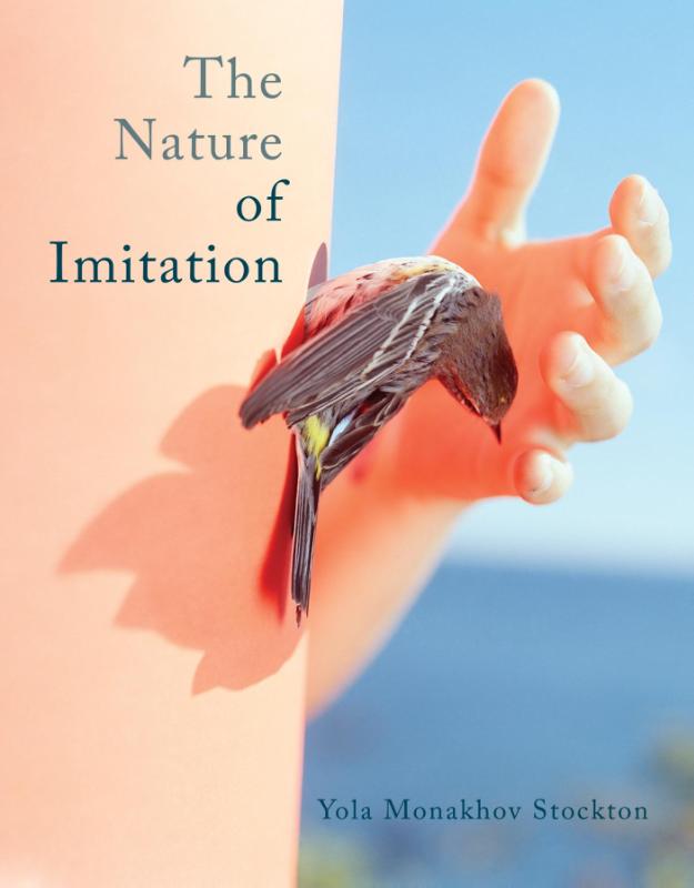 Omslag van The nature of imitation