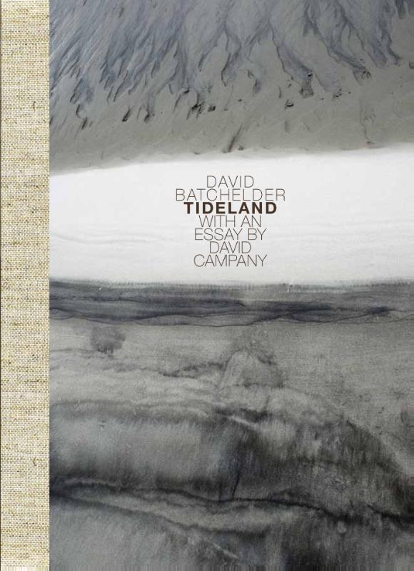 Omslag van Tideland