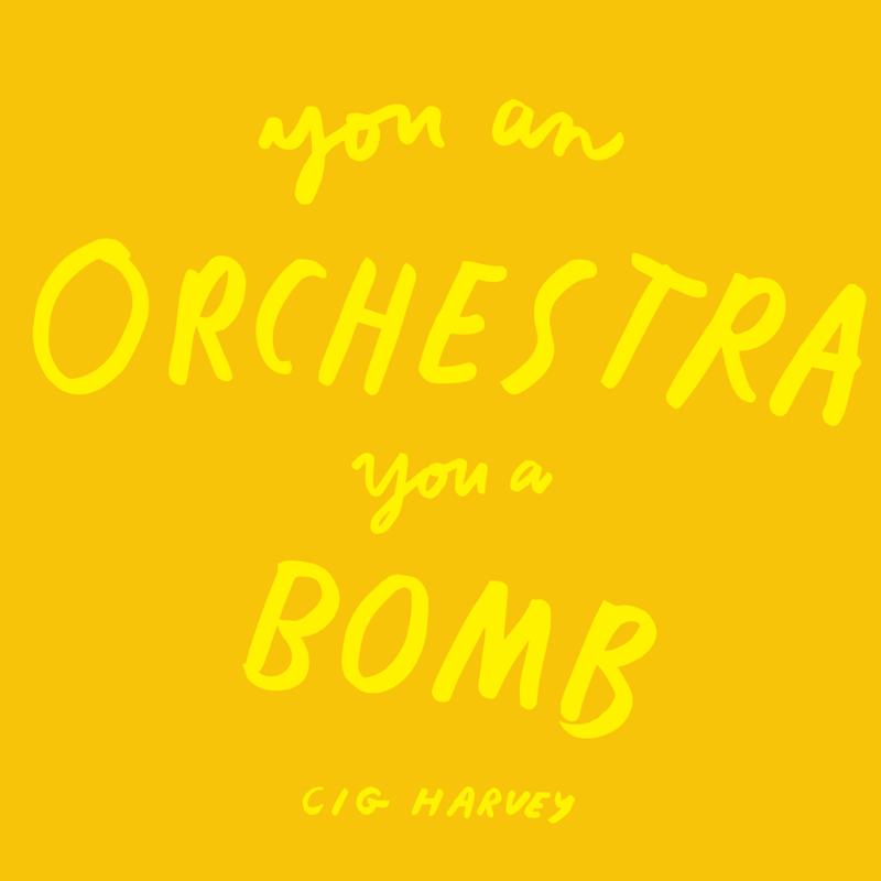 Omslag van You an orchestra you a bomb