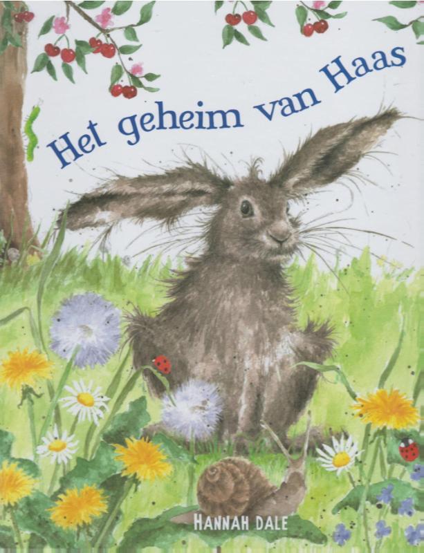 Omslag van Het geheim van Haas