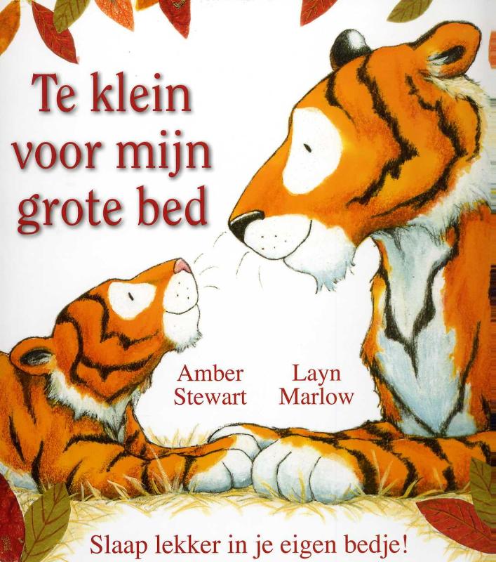 Omslag van Te klein voor mijn grote bed